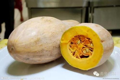 甘肃陇南康县吃瓜网红,网红带你尝鲜陇南美味 第2张 甘肃陇南康县吃瓜网红,网红带你尝鲜陇南美味 第2张